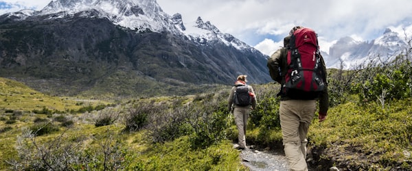 体育赛事直播平台场景 - 多块屏幕同时播放不同比赛，显示实时比分